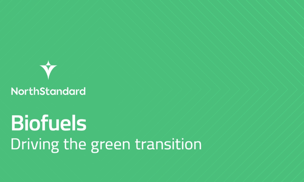 Report: NorthStandard, World Fuel and VPS discuss biofuel, potential issues and measures