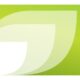Sing Fuels launches desks to expand offshore and alternative bunker fuel capabilities