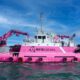 ECOsubsea to continue deploying hull cleaning solutions in Europe despite Singapore exit