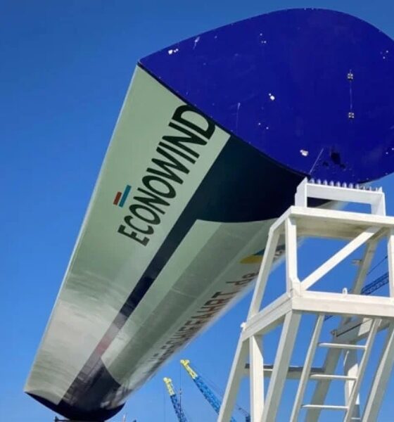 DNV on wind-assisted propulsion: Managing safety while regulation takes shape
