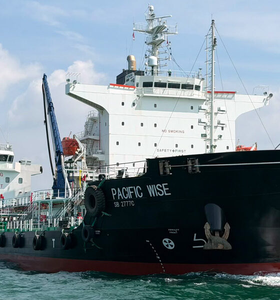 Pacific Wise 1 MT