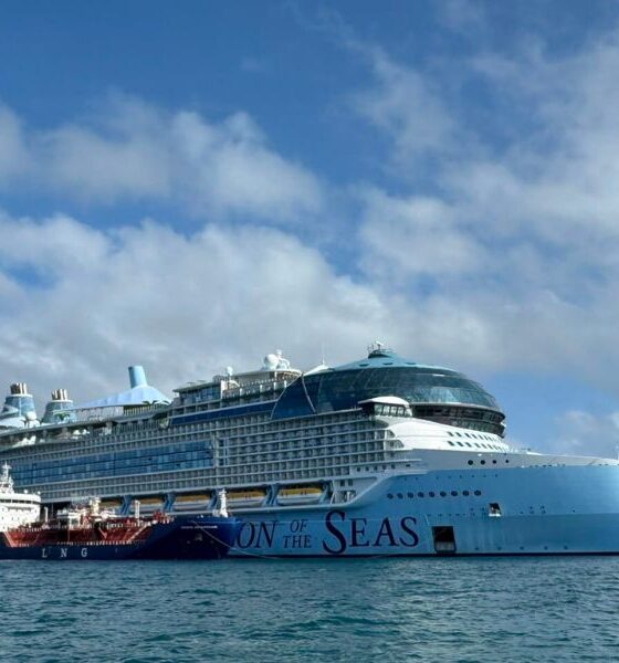 Bunkering vessel “Avenir Advantage” completes first LNG delivery to cruise ship