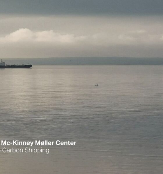 MMMCZCS outlines subsidy design options to accelerate low-emissions bunker fuels