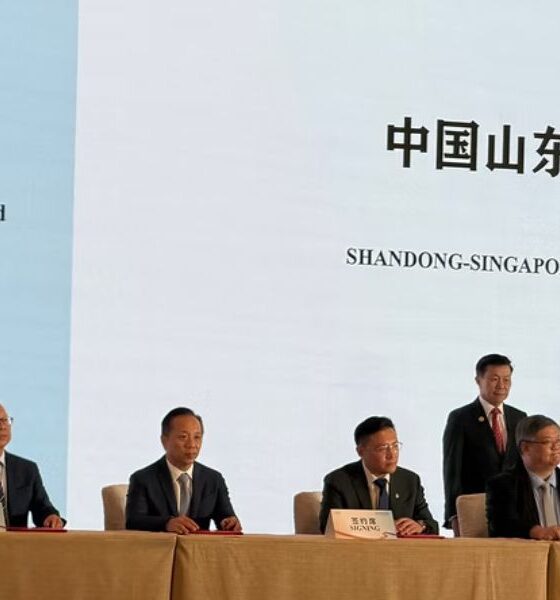 Golden Island, Qingdao Port team up on green methanol, ammonia and bio-LNG
