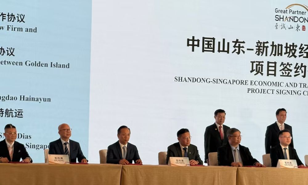 Golden Island, Qingdao Port team up on green methanol, ammonia and bio-LNG